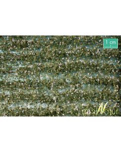 Mininatur Akkerstroken wit bloeiend - Lente - ca. 420cm - H0 / TT (766-25)