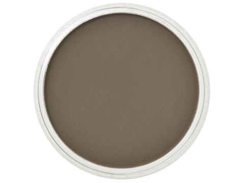 PanPastel Raw Umber Shade (278.3)