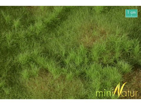 Mininatur Vruchtbare weide - Lente - ca. 25x15,5cm - H0 / TT (733-21S)