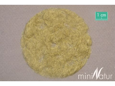 Mininatur Grasvezel 2mm - Late herfst - 100g - ALL (002-04)