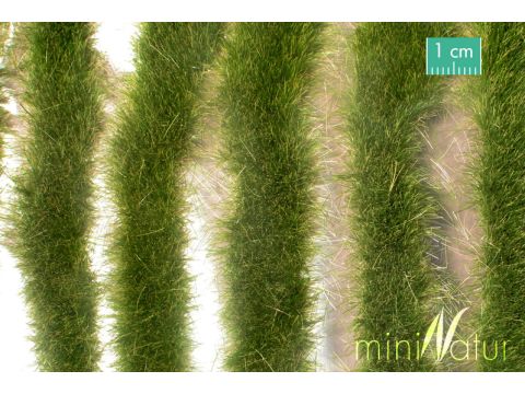 Mininatur Grasstrepen lang - Vroege herfst - ca. 50cm - 1:45+ (728-33S)
