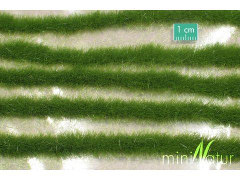 Mininatur Grasstrepen lang - Zomer - ca. 67cm - H0 / TT (728-22S)