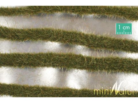 Mininatur Twee kleurige grasstrepen - Vroege herfst - ca. 50cm - 1:45+ (738-33S)