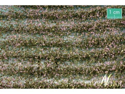 Mininatur Akkerstroken paars bloeiend - Lente - ca. 420cm - H0 / TT (766-26)