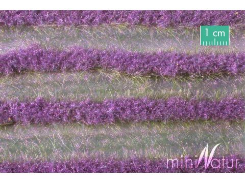 Mininatur Lavendel strepen - Zomer - ca. 336cm - H0 / TT (792-22)