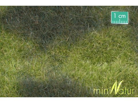 Mininatur Moeras weide - Vroege herfst - ca. 31,5x25cm - H0 / TT (723-23S)
