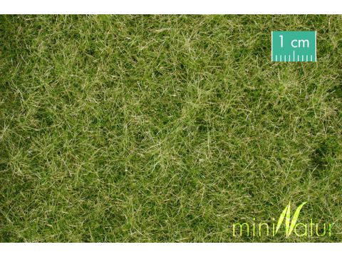 Mininatur Weide - Vroege herfst - ca. 31,5x25cm - H0 / TT (720-23S)