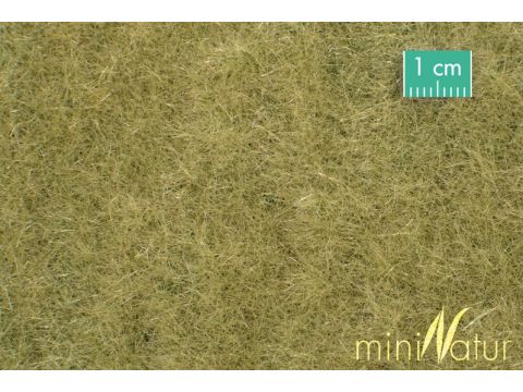Mininatur Weide - Late herfst - ca. 31,5x25cm - H0 / TT (720-24S)