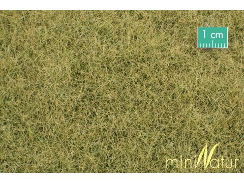 Mininatur Weide - Late herfst - ca. 31,5x25cm - 1:45+ (720-34S)