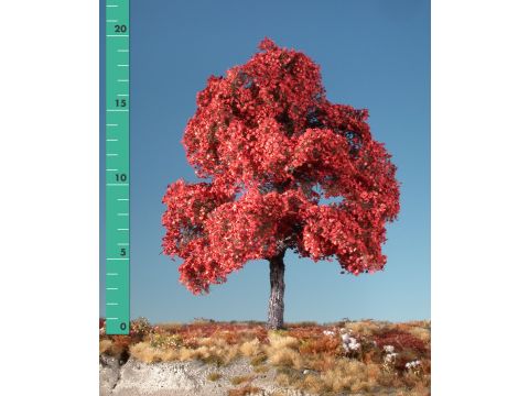 Silhouette Esdoorn - Late herfst (rood) - 1 (ca. 10-13cm) (230-15)