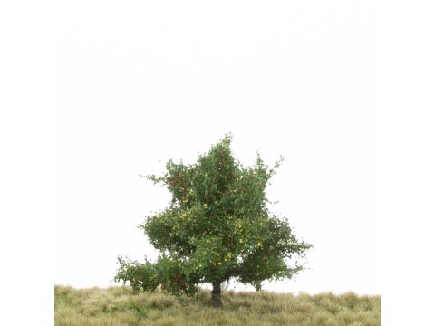 Silhouette Appelboom - Vroege herfst - 1 (ca. 12-16cm) (226-43)