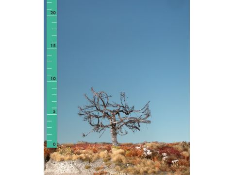 Silhouette Appelboom - Kaal - 1 (ca. 10-13cm) (226-10)