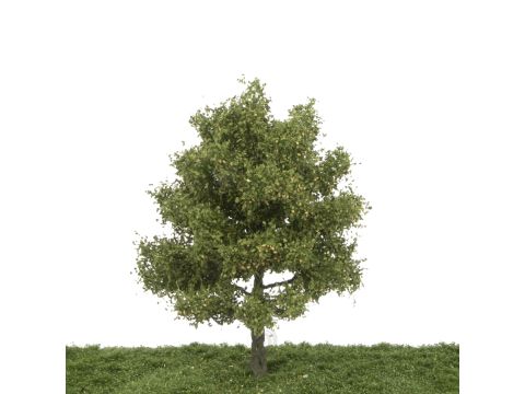 Silhouette Perenboom - Zomer - 30-35cm (328-003-2)