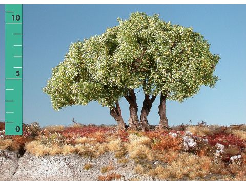 Silhouette Hoge struiken - Vroege herfst - ca. 12cm - N / Z (350-13)