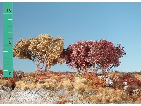 Silhouette Lage struiken - Late herfst - ca. 8cm (350-04)