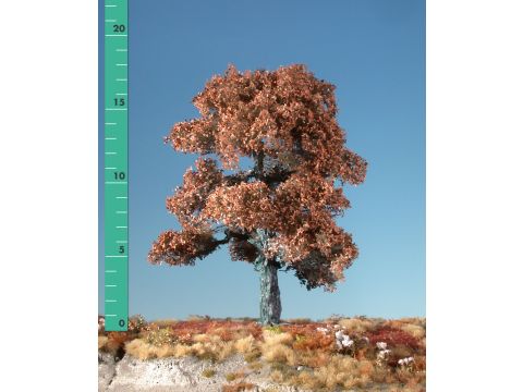 Silhouette Eik - Late herfst - 3 (ca. 22-29cm) - 1:45+ (280-34)