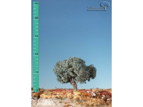 Silhouette Olijfboom - Zomer - 0 (< ca. 8cm) (245-02)