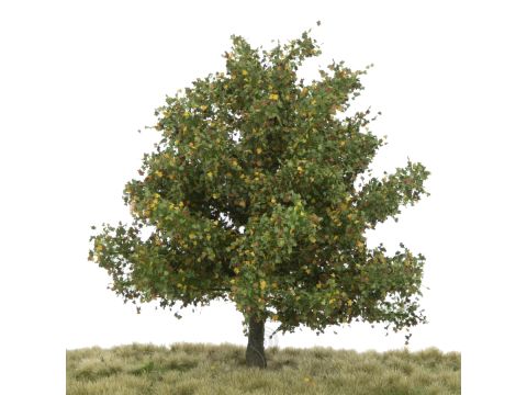 Silhouette Plataan - Vroege herfst - 17-22cm (233-53)