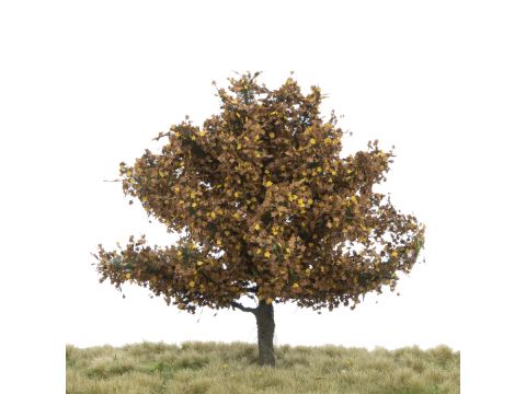 Silhouette Plataan - Late herfst - 12-16cm (233-44)