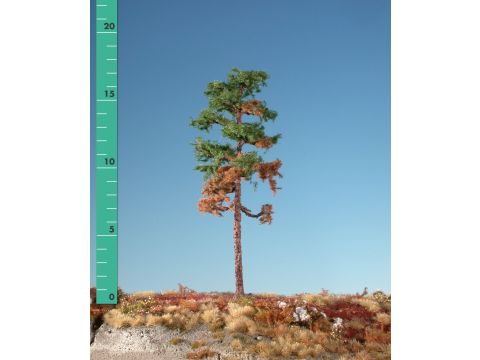 Silhouette Verweerde grove den - Zomer - 1 (ca. 10-13cm) (270-16)