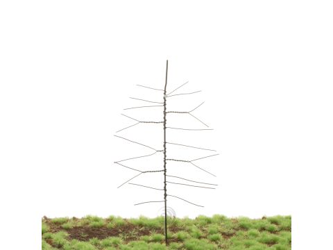 Unique Grove den - Kale stam - Bouwpakket - 135 mm (81-0000-01)