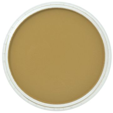 PanPastel Yellow Ochre Shade (227.3)
