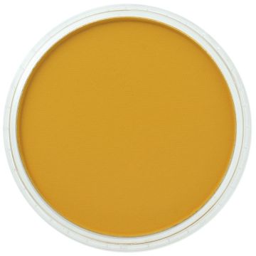 PanPastel Yellow Ochre (227.5)