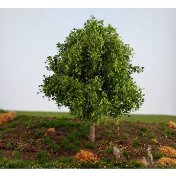 Silhouette Esdoorn - Lente -  - CA. 8cm - Z / N / TT / H0 (230-61)