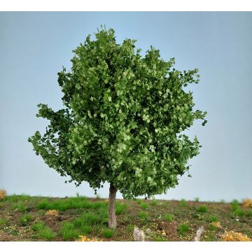 Silhouette Esdoorn - zomer -  - CA. 8cm - Z / N / TT / H0 (230-62)
