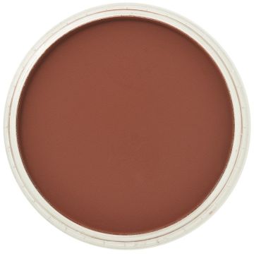 PanPastel Red Iron Oxide Extra Shade (238.3)