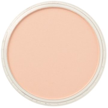 PanPastel Red Iron Oxide Tint (238.8)