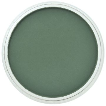 PanPastel Permanent Green Extra Dark (264.1)