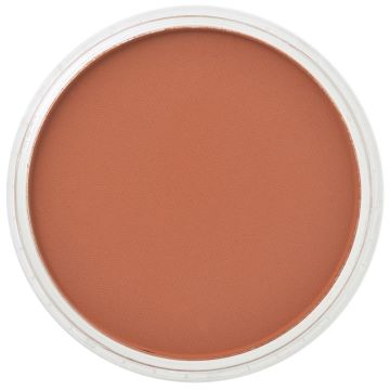 PanPastel Burnt sienna (274.5)