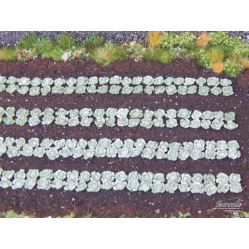 Juweela Groene koolplanten - 220x - H0 / 1:87 (JW28226)