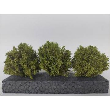 Silhouette Struiken set - Lente - ca. 3-4 cm (350-51)