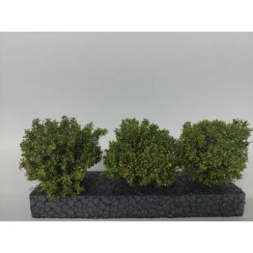 Silhouette Struiken set - vroege herfst - ca. 3-4 cm (350-53)