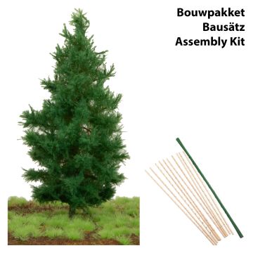 Unique Noorse spar - Kale stam - Bouwpakket - 10 cm - TT / N (81-1021-01)