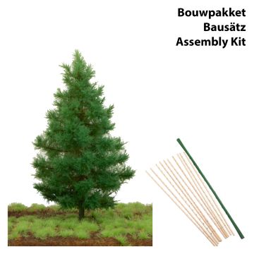 Unique Noorse spar - Kale stam - Bouwpakket - 12 cm - TT / N (81-1021-02)