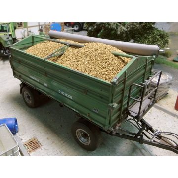 Juweela GRAANKORREL - GEEL/BRUIN -  - 1 / 1:32 (JW23307)