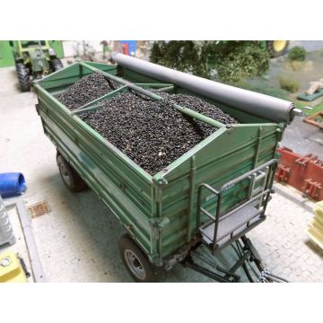 Juweela KOOLZAAD - ZWART -  - 1 / 1:32 (JW23310)