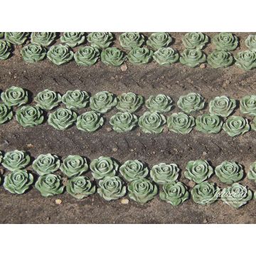 Juweela SLA PLANTEN - GROEN -  - 1:32 / 1:35 (JW23441)