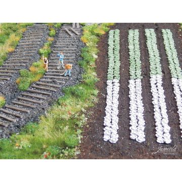 Juweela Rode kool planten - 220x - H0 / 1:87 (JW28228)