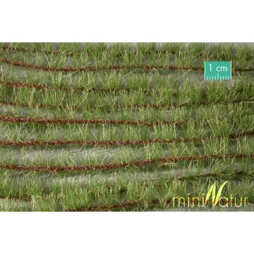 Mininatur Akkerstroken - Vroege herfst - ca. 42cm - 1:45+ (765-33S)