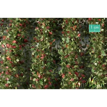 Mininatur Akkerstroken met bladeren - Vroege herfst - ca. 42cm - 1:45+ (766-33S)