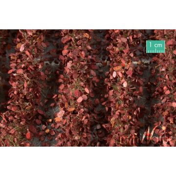Mininatur Akkerstroken met bladeren - Late herfst - ca. 42cm - 1:45+ (766-34S)