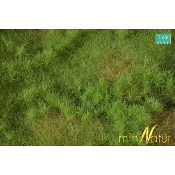 Mininatur Vruchtbare weide - Lente - ca. 25x15,5cm - H0 / TT (733-21S)