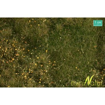 Mininatur Vruchtbare weide met onkruid - Vroege herfst - ca. 25x15,5cm - H0 / TT (734-23S)