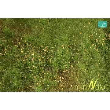 Mininatur Vruchtbare weide met onkruid - Lente - ca. 25x15,5cm - H0 / TT (734-21S)