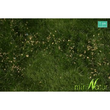 Mininatur Vruchtbare weide met onkruid - Zomer - ca. 25x15,5cm - H0 / TT (734-22S)