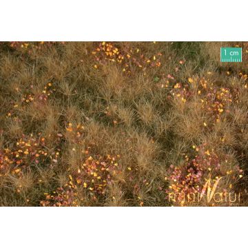 Mininatur Vruchtbare weide met onkruid - Late herfst - ca. 25x15,5cm - H0 / TT (734-24S)
